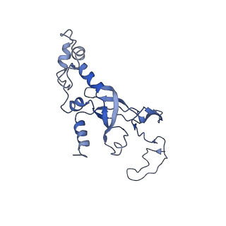 10668_6y0g_SI_v1-1
Structure of human ribosome in classical-PRE state