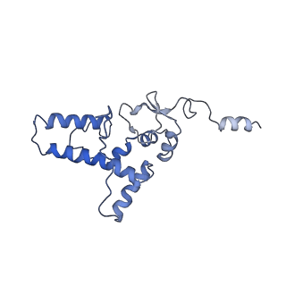 10668_6y0g_SJ_v1-1
Structure of human ribosome in classical-PRE state