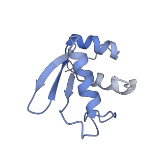 10668_6y0g_SK_v1-1
Structure of human ribosome in classical-PRE state
