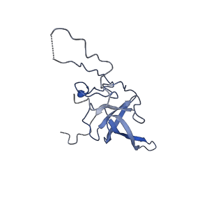 10668_6y0g_SL_v1-1
Structure of human ribosome in classical-PRE state