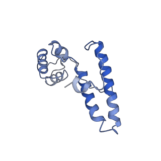 10668_6y0g_SN_v1-1
Structure of human ribosome in classical-PRE state