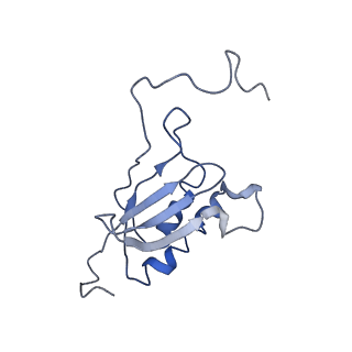 10668_6y0g_SO_v1-1
Structure of human ribosome in classical-PRE state