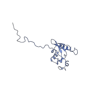 10668_6y0g_SP_v1-1
Structure of human ribosome in classical-PRE state