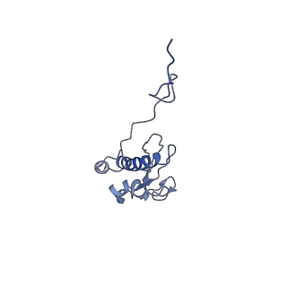 10668_6y0g_SQ_v1-1
Structure of human ribosome in classical-PRE state