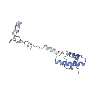 10668_6y0g_SR_v1-1
Structure of human ribosome in classical-PRE state