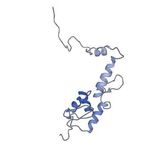 10668_6y0g_SS_v1-1
Structure of human ribosome in classical-PRE state