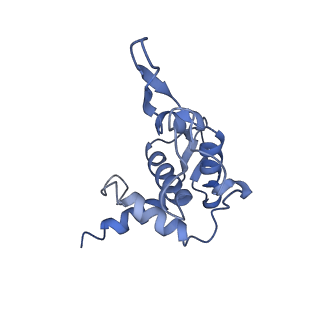 10668_6y0g_ST_v1-1
Structure of human ribosome in classical-PRE state