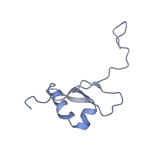 10668_6y0g_SV_v1-1
Structure of human ribosome in classical-PRE state