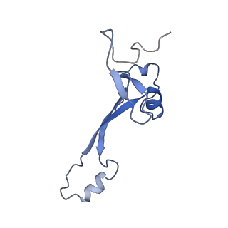 10668_6y0g_Sa_v1-1
Structure of human ribosome in classical-PRE state