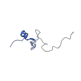 10668_6y0g_Sd_v1-1
Structure of human ribosome in classical-PRE state