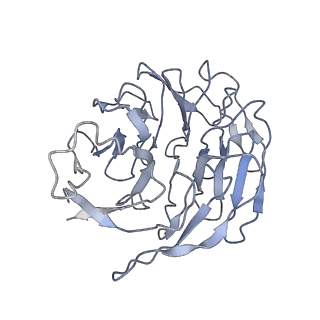 10668_6y0g_Sg_v1-1
Structure of human ribosome in classical-PRE state