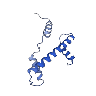 33536_7y00_A_v1-1
Cryo-EM structure of the nucleosome containing 169 base-pair DNA with a p53 target sequence