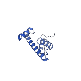33536_7y00_E_v1-1
Cryo-EM structure of the nucleosome containing 169 base-pair DNA with a p53 target sequence