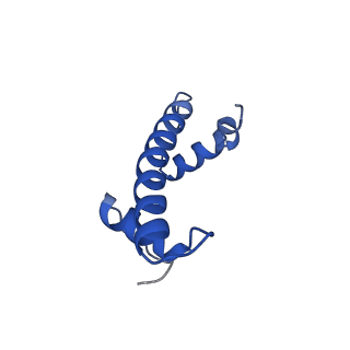33536_7y00_F_v1-1
Cryo-EM structure of the nucleosome containing 169 base-pair DNA with a p53 target sequence