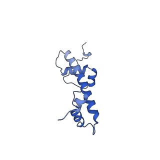 33536_7y00_G_v1-1
Cryo-EM structure of the nucleosome containing 169 base-pair DNA with a p53 target sequence