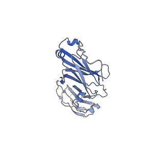 33538_7y09_A_v1-1
Cryo-EM structure of human IgM-Fc in complex with the J chain and the DBL domain of DBLMSP