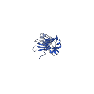 33538_7y09_B_v1-1
Cryo-EM structure of human IgM-Fc in complex with the J chain and the DBL domain of DBLMSP