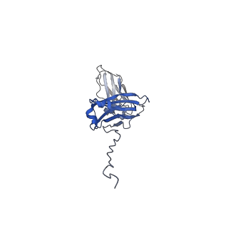 33538_7y09_C_v1-1
Cryo-EM structure of human IgM-Fc in complex with the J chain and the DBL domain of DBLMSP