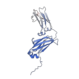 33538_7y09_E_v1-1
Cryo-EM structure of human IgM-Fc in complex with the J chain and the DBL domain of DBLMSP