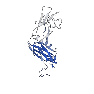 33538_7y09_F_v1-1
Cryo-EM structure of human IgM-Fc in complex with the J chain and the DBL domain of DBLMSP