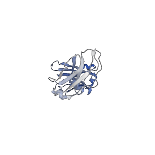 33538_7y09_H_v1-1
Cryo-EM structure of human IgM-Fc in complex with the J chain and the DBL domain of DBLMSP
