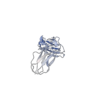 33538_7y09_K_v1-1
Cryo-EM structure of human IgM-Fc in complex with the J chain and the DBL domain of DBLMSP