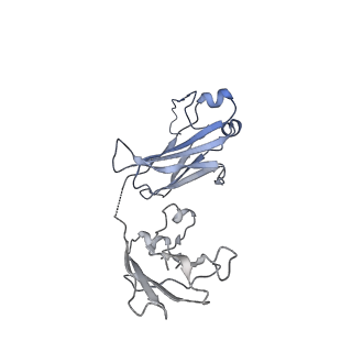 33538_7y09_L_v1-1
Cryo-EM structure of human IgM-Fc in complex with the J chain and the DBL domain of DBLMSP