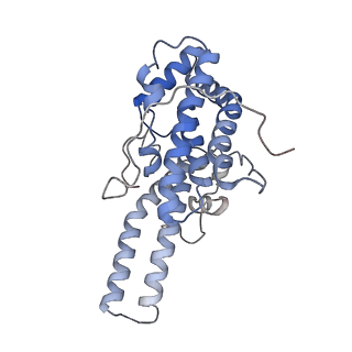 33538_7y09_R_v1-1
Cryo-EM structure of human IgM-Fc in complex with the J chain and the DBL domain of DBLMSP