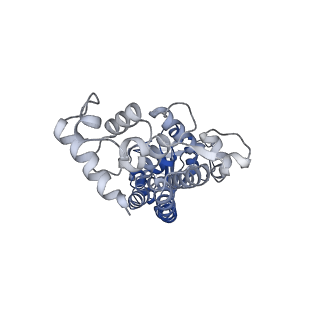 33540_7y0d_A_v1-2
Cryo-EM structure of the Mycobacterium smegmatis DNA integrity scanning protein (MsDisA).