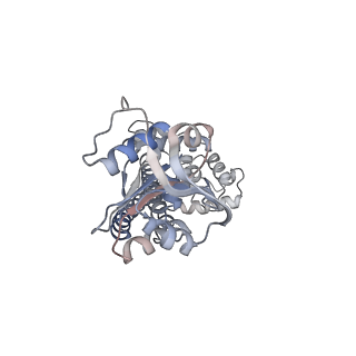 33540_7y0d_B_v1-2
Cryo-EM structure of the Mycobacterium smegmatis DNA integrity scanning protein (MsDisA).