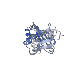 33540_7y0d_C_v1-2
Cryo-EM structure of the Mycobacterium smegmatis DNA integrity scanning protein (MsDisA).