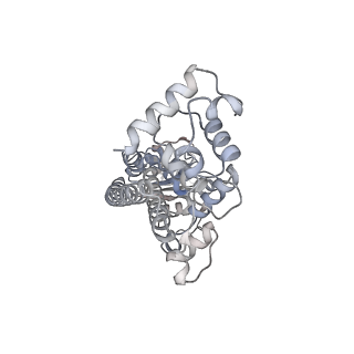 33540_7y0d_E_v1-2
Cryo-EM structure of the Mycobacterium smegmatis DNA integrity scanning protein (MsDisA).