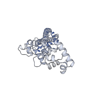 33540_7y0d_F_v1-2
Cryo-EM structure of the Mycobacterium smegmatis DNA integrity scanning protein (MsDisA).