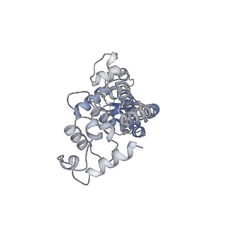 33540_7y0d_G_v1-2
Cryo-EM structure of the Mycobacterium smegmatis DNA integrity scanning protein (MsDisA).