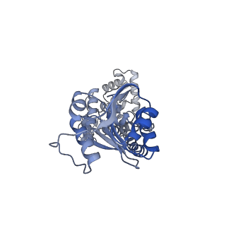 33540_7y0d_H_v1-2
Cryo-EM structure of the Mycobacterium smegmatis DNA integrity scanning protein (MsDisA).