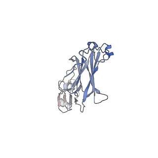 33542_7y0h_A_v1-1
Cryo-EM structure of human IgM-Fc in complex with the J chain and the P. falciparum VAR2CSA FCR3
