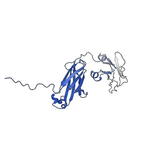 33542_7y0h_D_v1-1
Cryo-EM structure of human IgM-Fc in complex with the J chain and the P. falciparum VAR2CSA FCR3