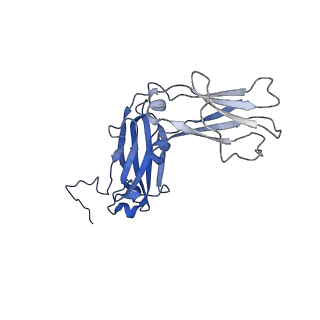 33542_7y0h_F_v1-1
Cryo-EM structure of human IgM-Fc in complex with the J chain and the P. falciparum VAR2CSA FCR3