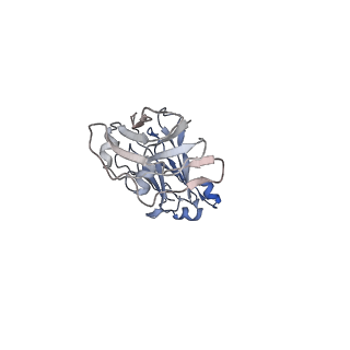 33542_7y0h_H_v1-1
Cryo-EM structure of human IgM-Fc in complex with the J chain and the P. falciparum VAR2CSA FCR3