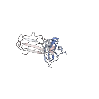 33542_7y0h_K_v1-1
Cryo-EM structure of human IgM-Fc in complex with the J chain and the P. falciparum VAR2CSA FCR3