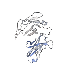 33547_7y0j_A_v1-1
Cryo-EM structure of human IgM-Fc in complex with the J chain and the P. falciparum TM284VAR1