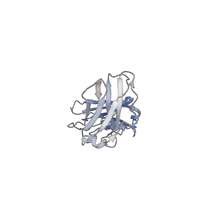 33547_7y0j_B_v1-1
Cryo-EM structure of human IgM-Fc in complex with the J chain and the P. falciparum TM284VAR1