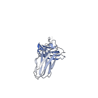 33547_7y0j_C_v1-1
Cryo-EM structure of human IgM-Fc in complex with the J chain and the P. falciparum TM284VAR1