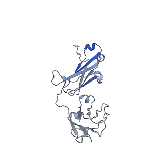 33547_7y0j_D_v1-1
Cryo-EM structure of human IgM-Fc in complex with the J chain and the P. falciparum TM284VAR1