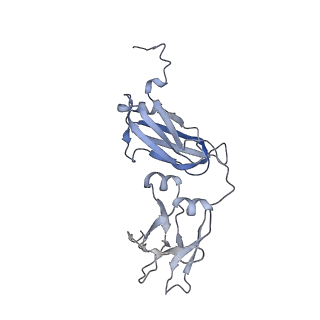 33547_7y0j_E_v1-1
Cryo-EM structure of human IgM-Fc in complex with the J chain and the P. falciparum TM284VAR1