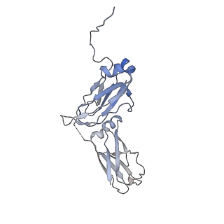 33547_7y0j_F_v1-1
Cryo-EM structure of human IgM-Fc in complex with the J chain and the P. falciparum TM284VAR1