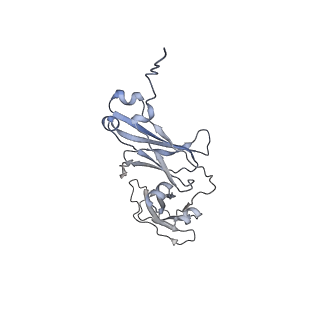 33547_7y0j_G_v1-1
Cryo-EM structure of human IgM-Fc in complex with the J chain and the P. falciparum TM284VAR1