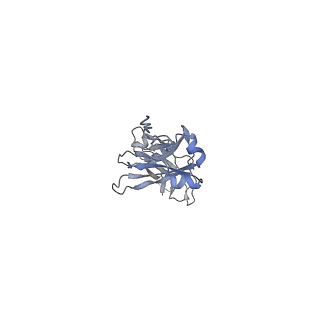 33547_7y0j_H_v1-1
Cryo-EM structure of human IgM-Fc in complex with the J chain and the P. falciparum TM284VAR1