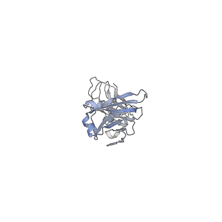 33547_7y0j_K_v1-1
Cryo-EM structure of human IgM-Fc in complex with the J chain and the P. falciparum TM284VAR1