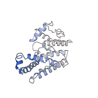 33547_7y0j_M_v1-1
Cryo-EM structure of human IgM-Fc in complex with the J chain and the P. falciparum TM284VAR1